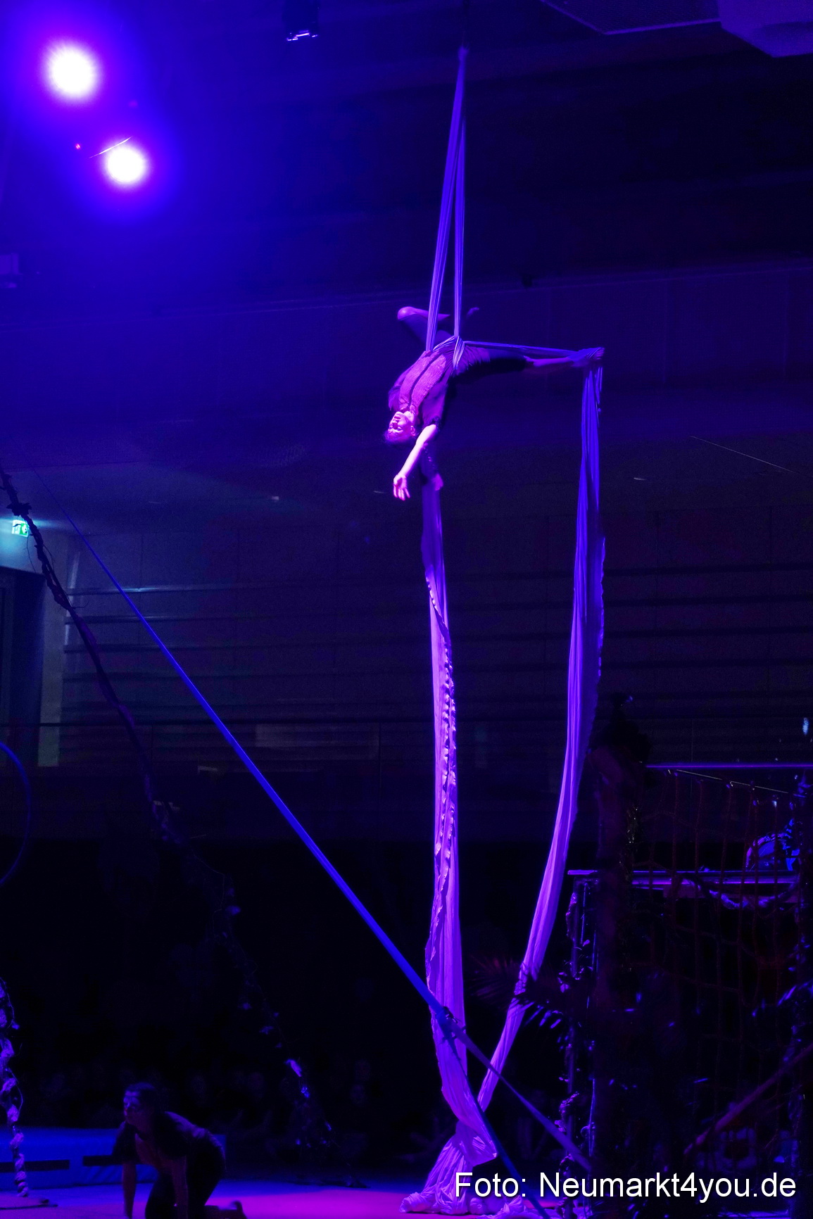 Artico Artistical Dschungelbuch 2020 0066